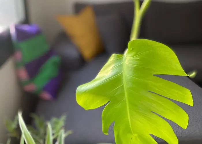 Stylish Retreat In Nicosias Heart 尼科西亚