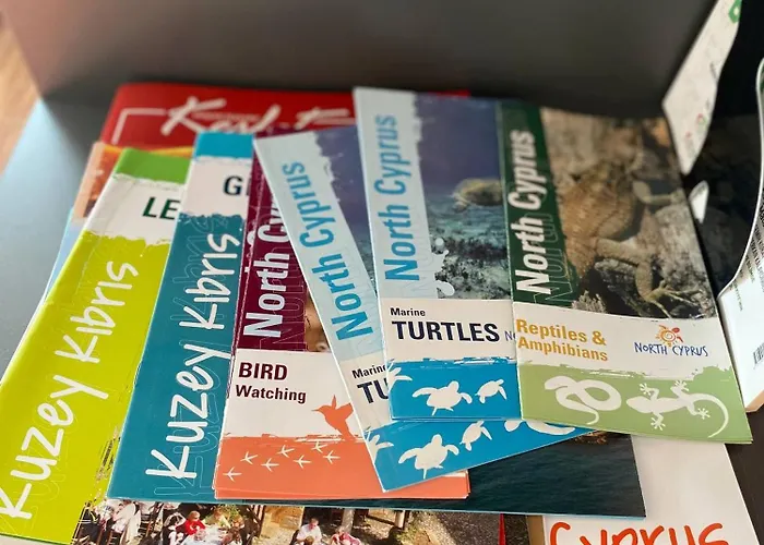 公寓 Stylish Retreat In Nicosias Heart 尼科西亚